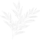 branch_graphic_2_white